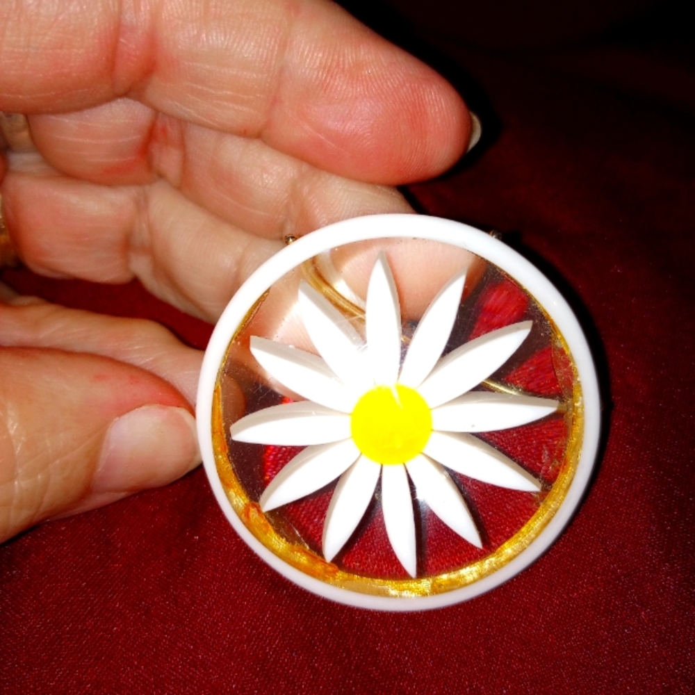 Beautiful Daisy pin